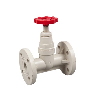 GLOBE VALVE PPH
